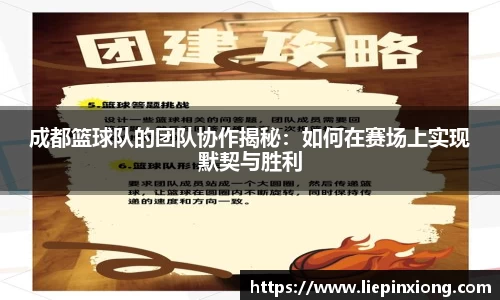 bellbet贝博APP