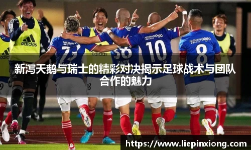 新泻天鹅与瑞士的精彩对决揭示足球战术与团队合作的魅力