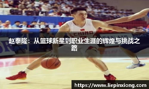 赵泰隆：从篮球新星到职业生涯的辉煌与挑战之路