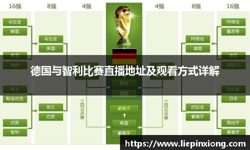 bellbet贝博APP
