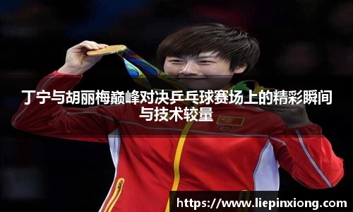 丁宁与胡丽梅巅峰对决乒乓球赛场上的精彩瞬间与技术较量
