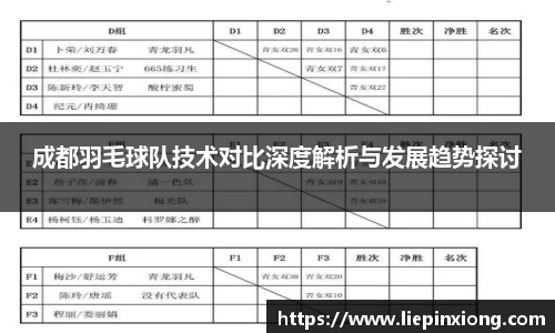 成都羽毛球队技术对比深度解析与发展趋势探讨