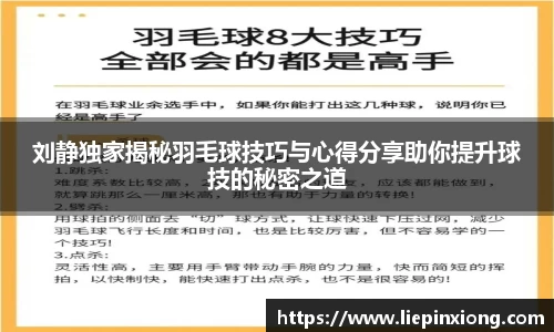 刘静独家揭秘羽毛球技巧与心得分享助你提升球技的秘密之道