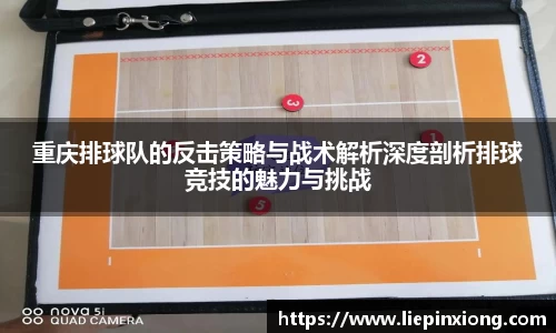 bellbet贝博APP