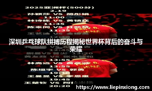 bellbet贝博官网